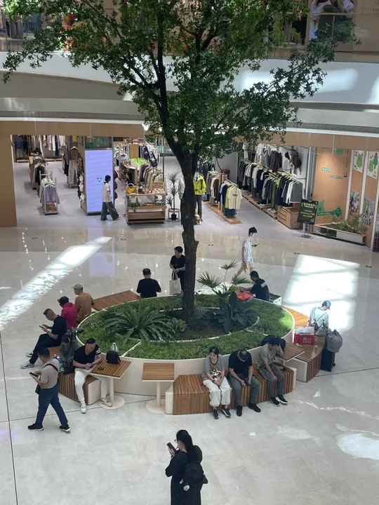 珠海光合汇 · 树池围合座位 · 珠海 · 光合汇